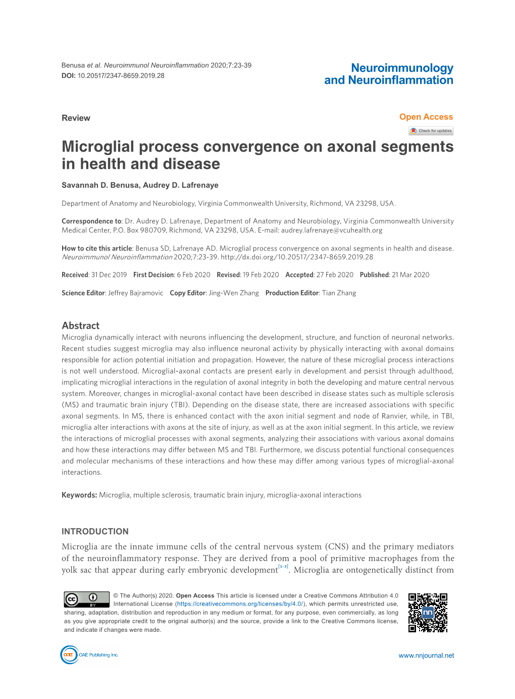 Microglial Process Convergence on Axonal Segments in Health and Disease