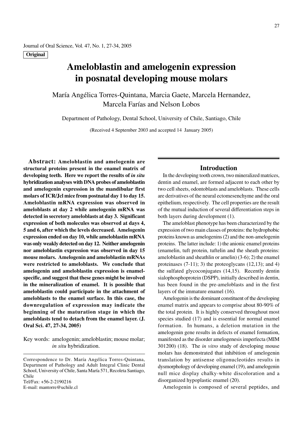 Ameloblastin and Amelogenin Expression in Posnatal Developing Mouse Molars