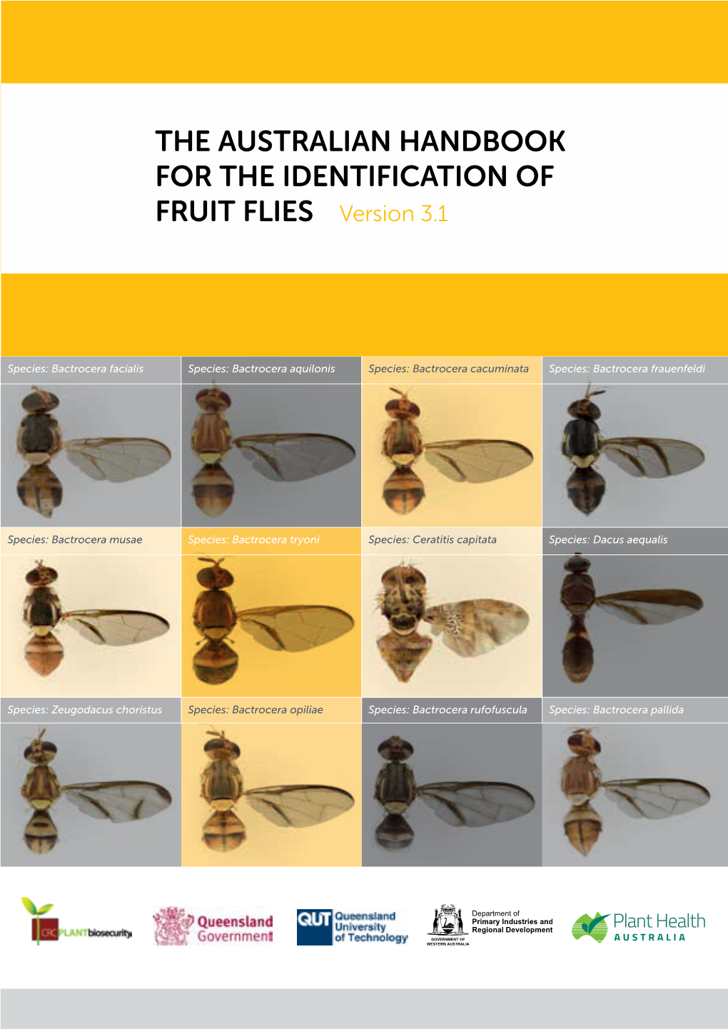 THE AUSTRALIAN HANDBOOK for the IDENTIFICATION of FRUIT FLIES Version 3.1