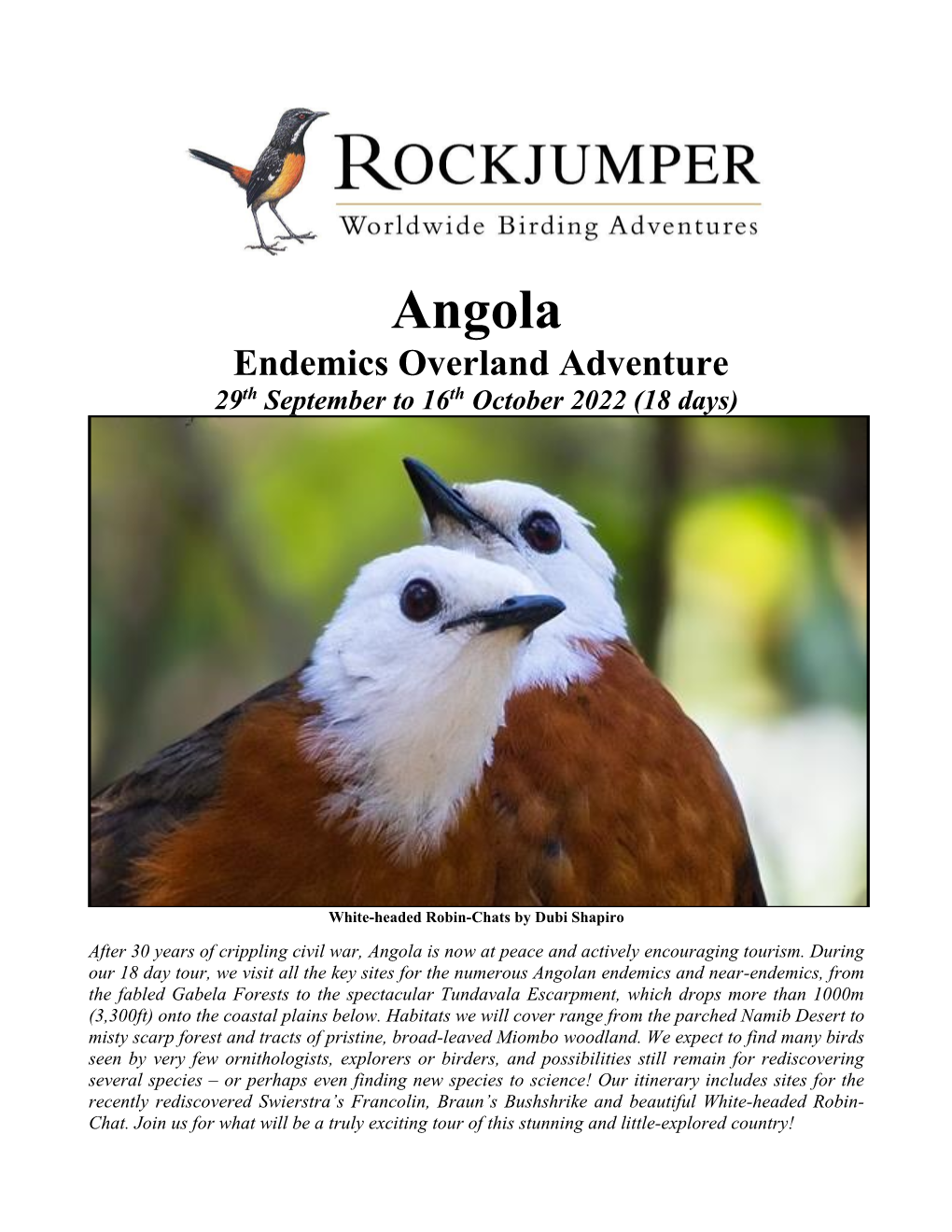 Angola Endemics Overland Adventure 29Th September to 16Th October 2022 (18 Days)