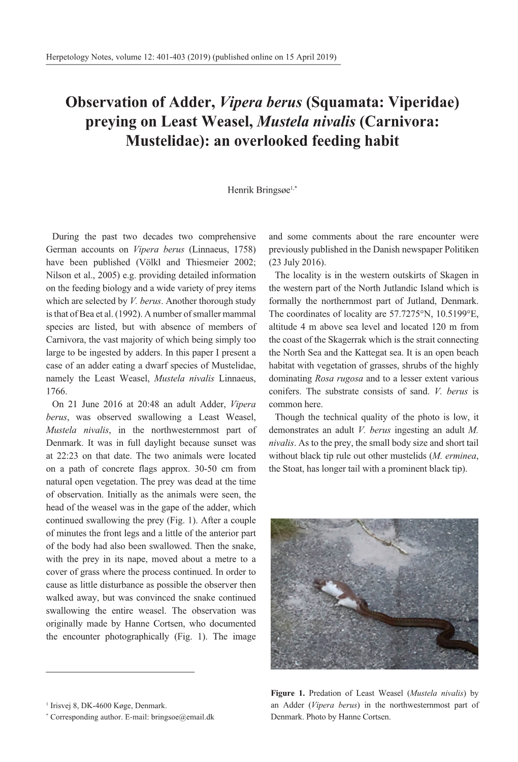 Observation of Adder, Vipera Berus (Squamata: Viperidae) Preying on Least Weasel, Mustela Nivalis (Carnivora: Mustelidae): an Overlooked Feeding Habit