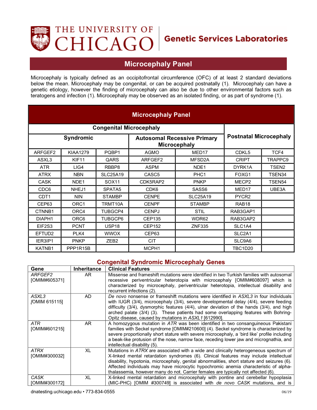 Microcephaly Information Sheet 6-13-19