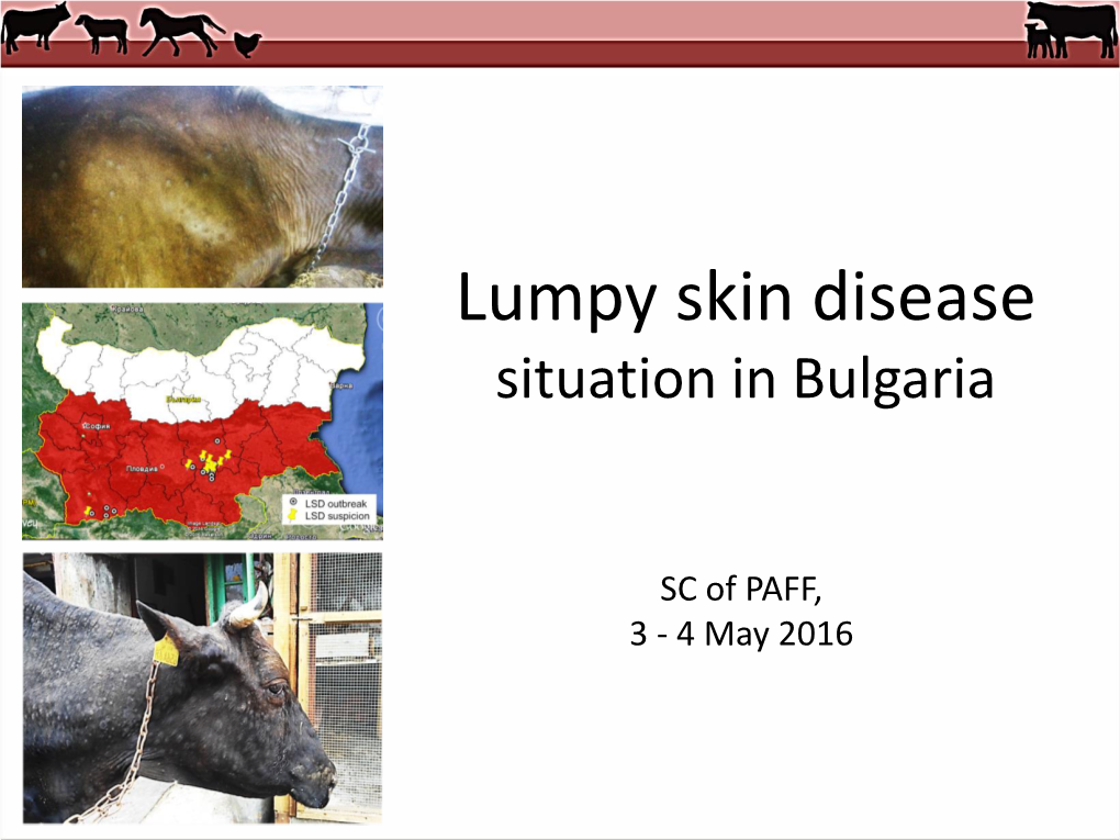 Lumpy Skin Disease Situation in Bulgaria