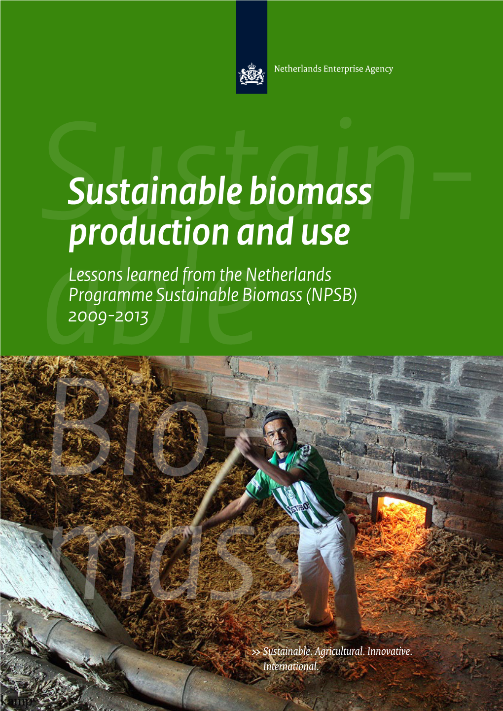 Sustainable Biomass Production and Supply Depends on Multiple Factors