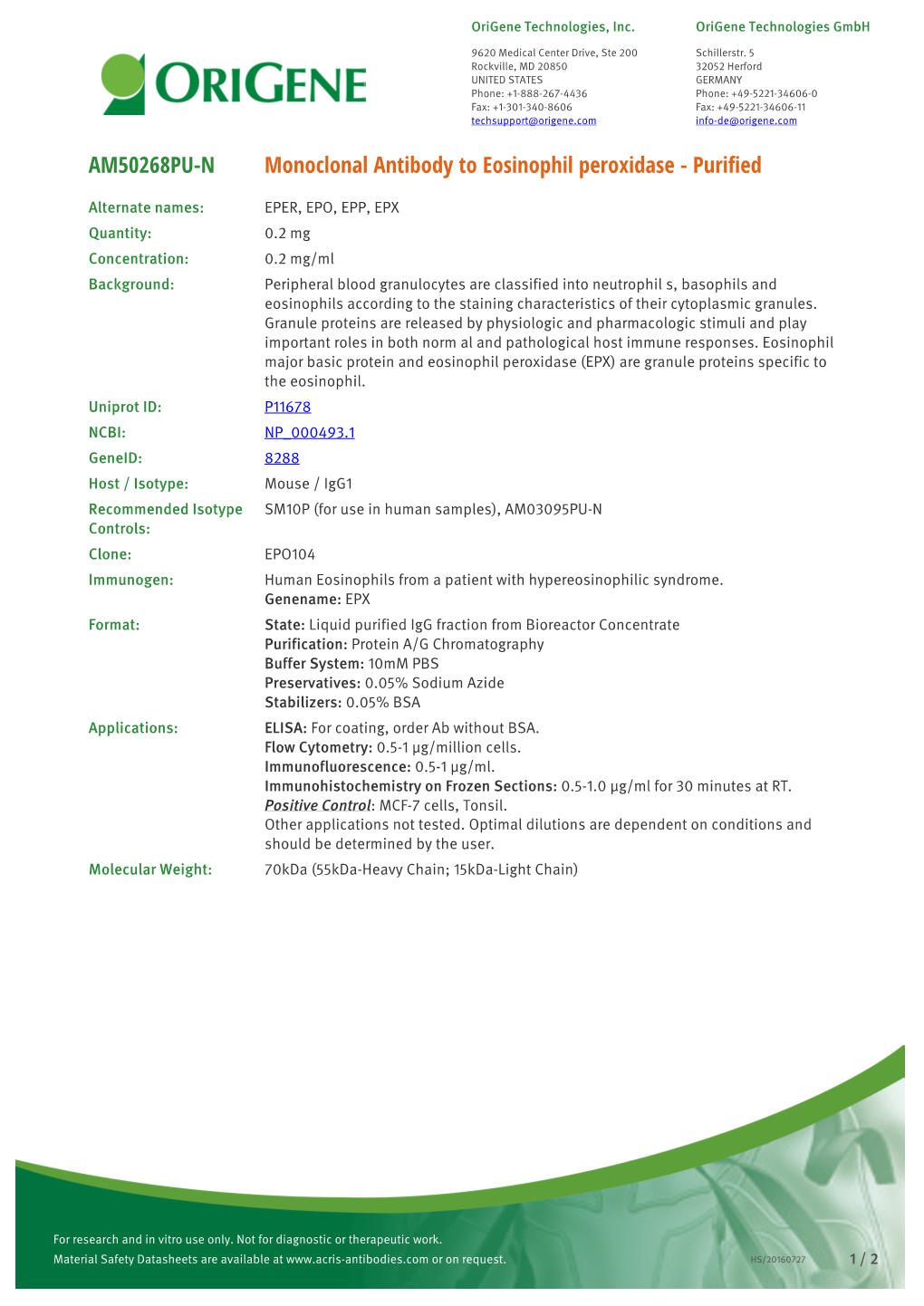 Monoclonal Antibody to Eosinophil Peroxidase - Purified