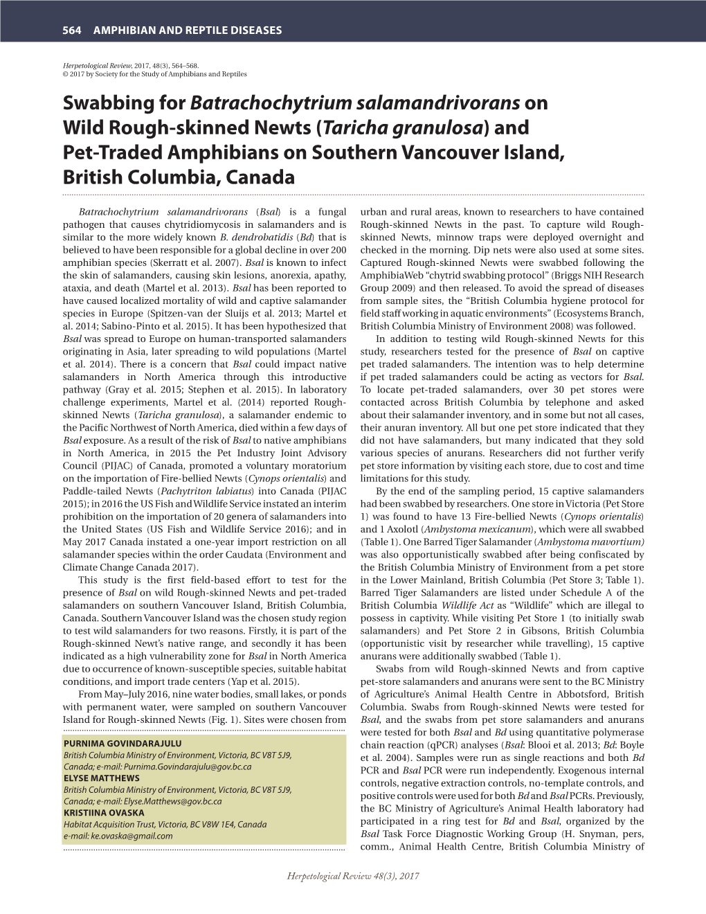 Swabbing for Batrachochytrium Salamandrivorans