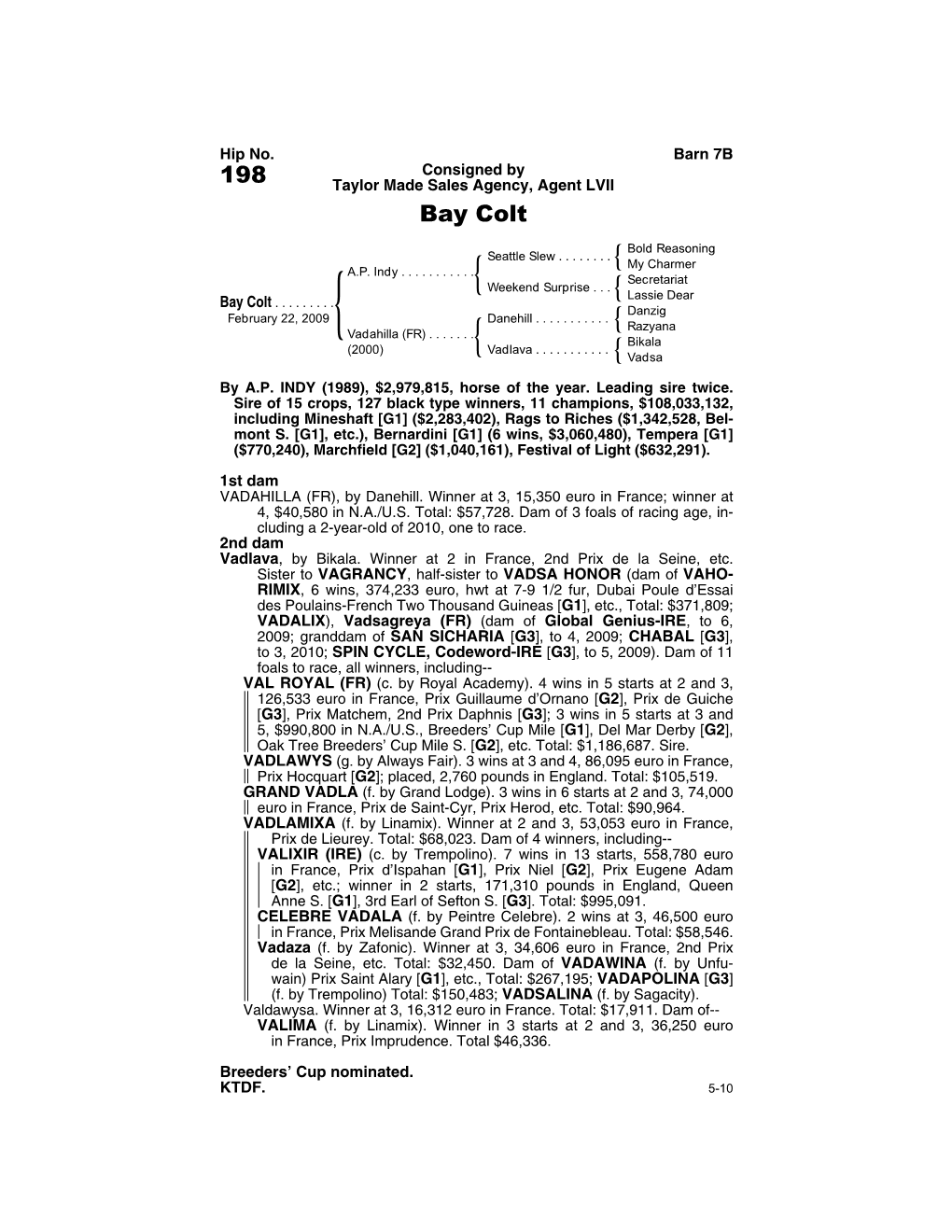 198 Taylor Made Sales Agency, Agent LVII Bay Colt