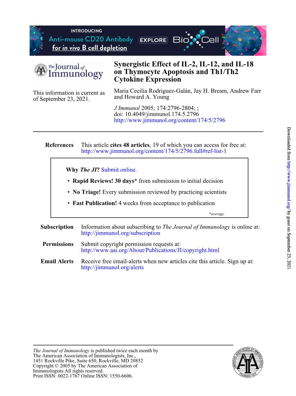 Cytokine Expression on Thymocyte Apoptosis and Th1/Th2 Synergistic