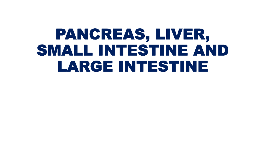 PANCREAS, LIVER, SMALL INTESTINE and LARGE INTESTINE PANCREAS Anatomy of Pancreas the Pancreas Is a Pale Grey Gland Weighing About 60 Grams