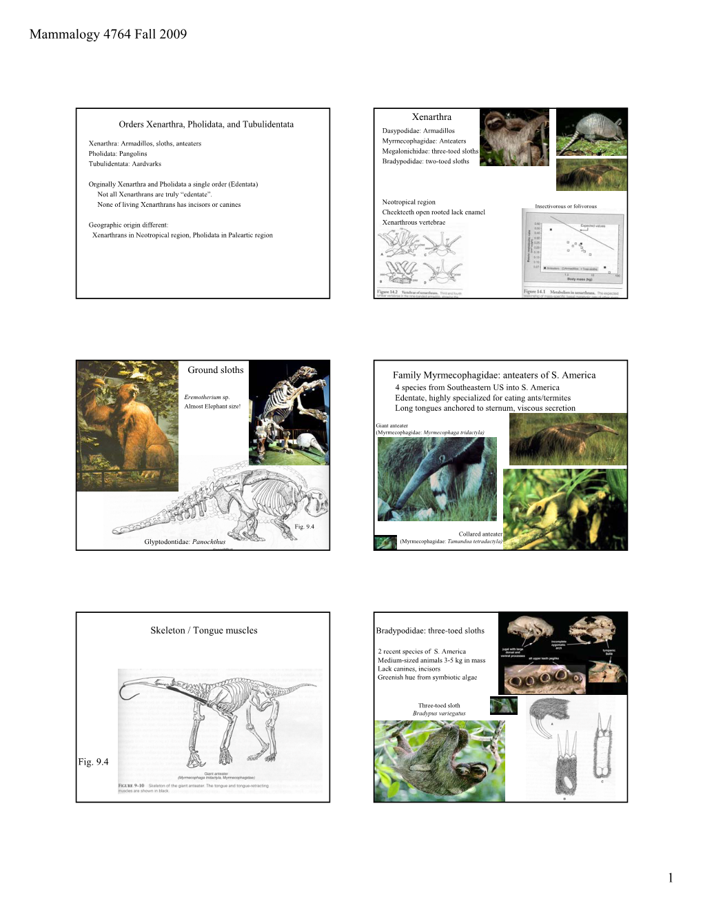 Mammalogy 4764 Fall 2009 1