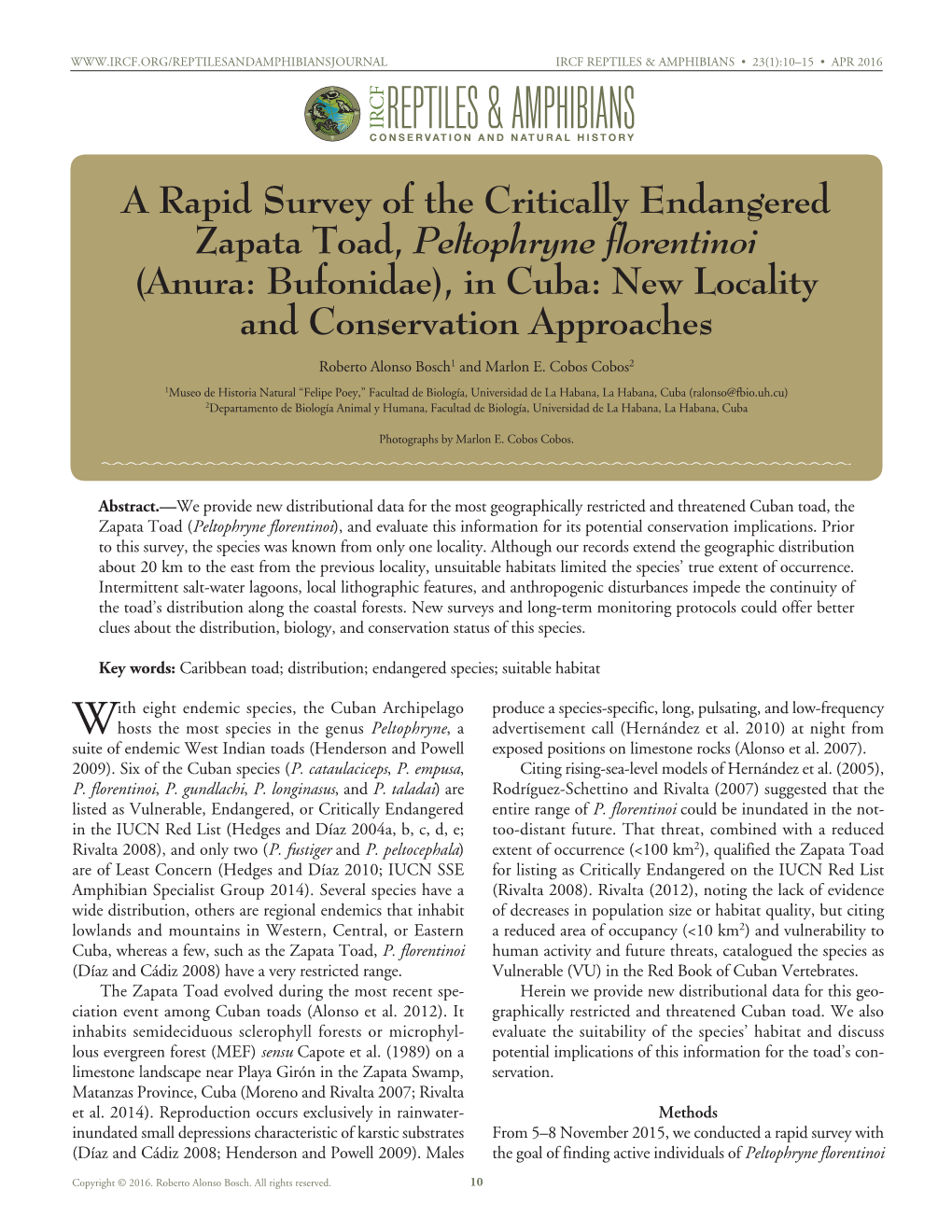 A Rapid Survey of the Critically Endangered