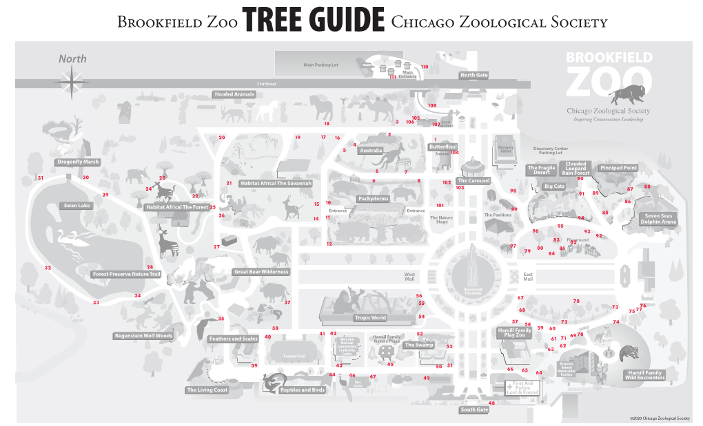 Brookfield Zoo TREE Guidechicago Zoological Society