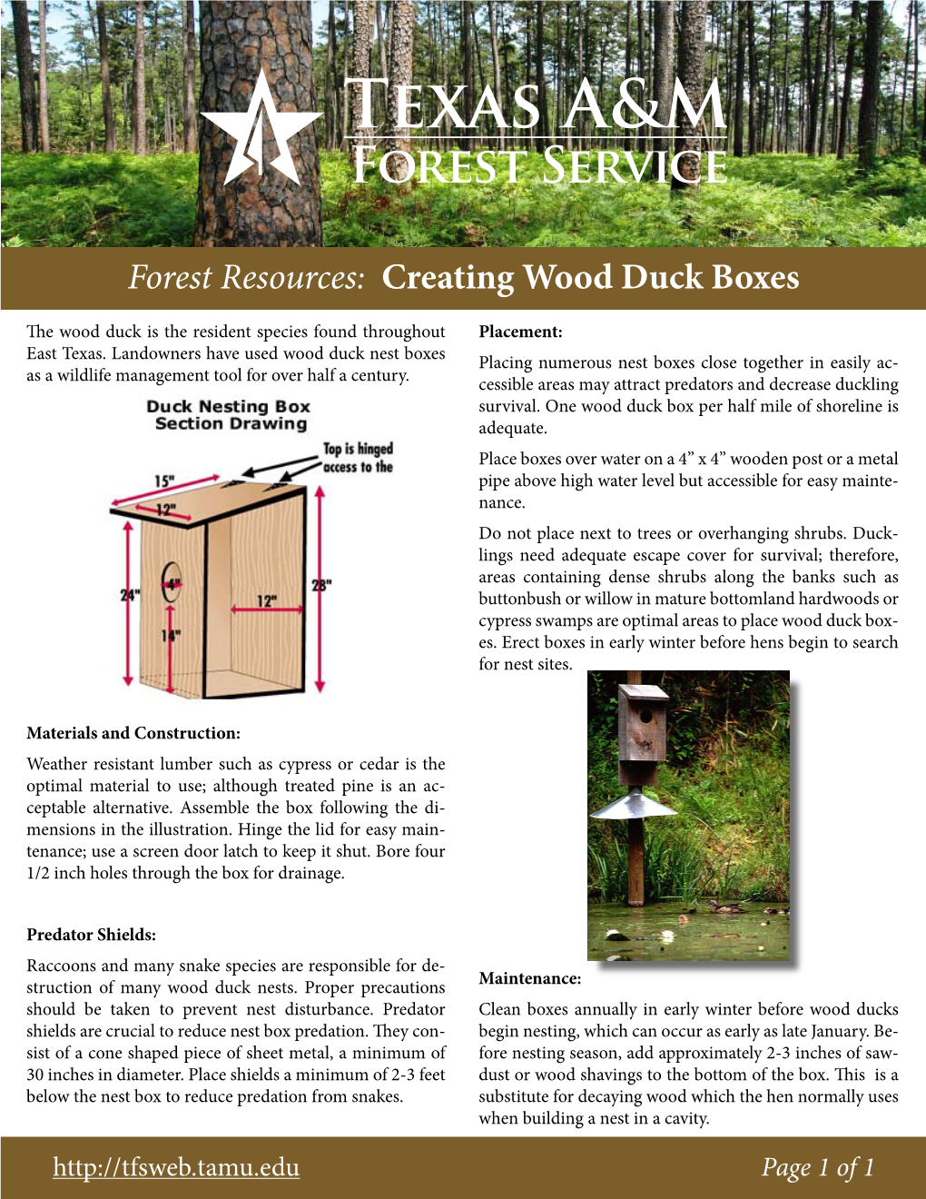 Forest Resources: Creating Wood Duck Boxes