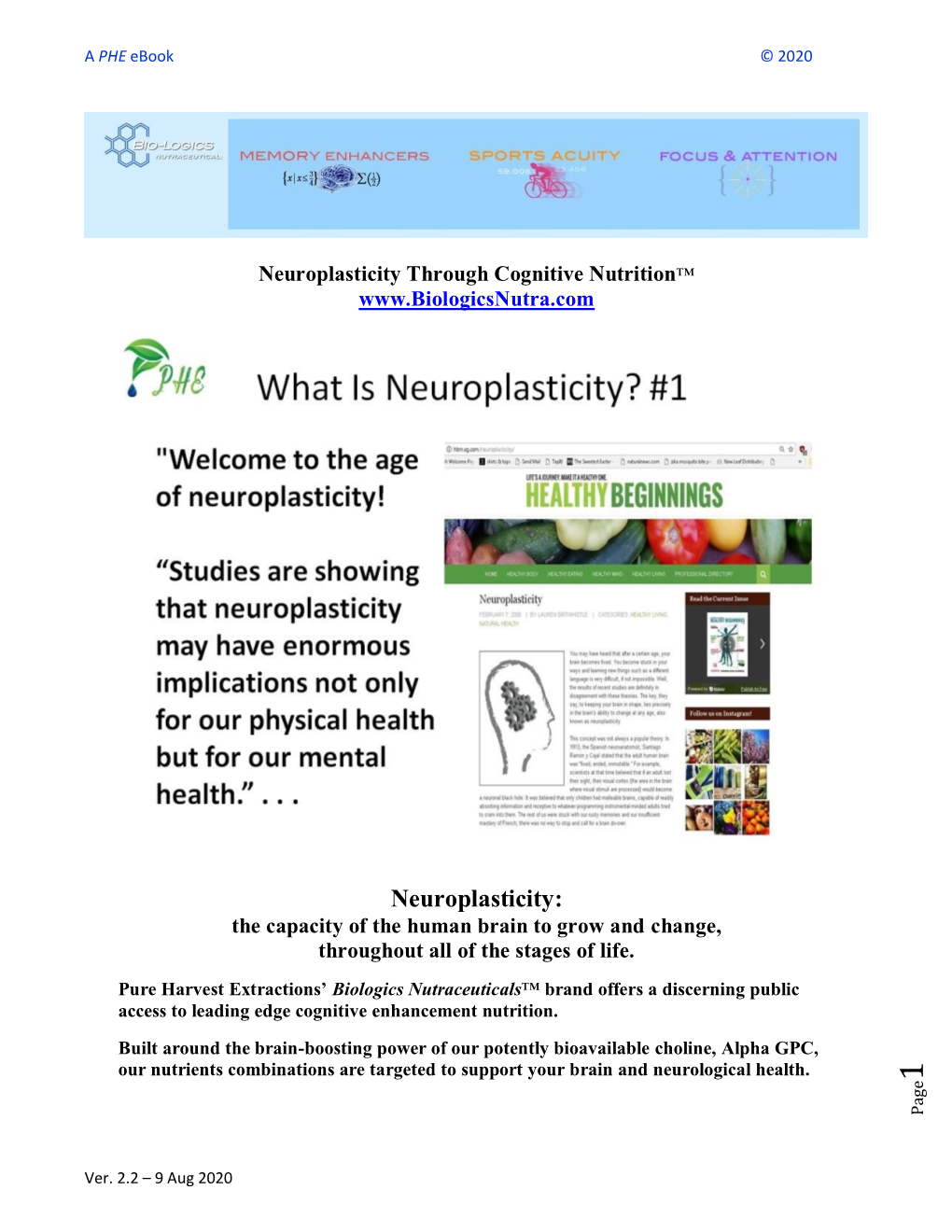 Neuroplasticity: the Capacity of the Human Brain to Grow and Change, Throughout All of the Stages of Life