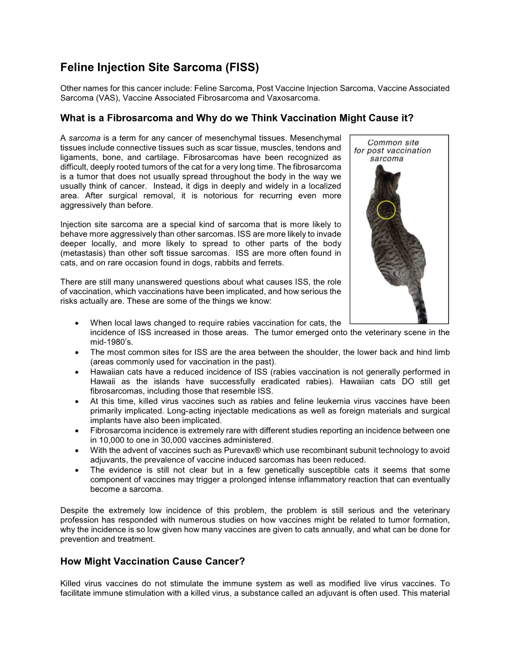 Feline Injection Site Sarcoma (FISS)