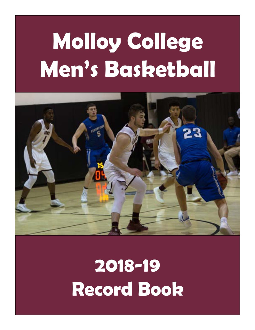 Molloy College Men's Basketball