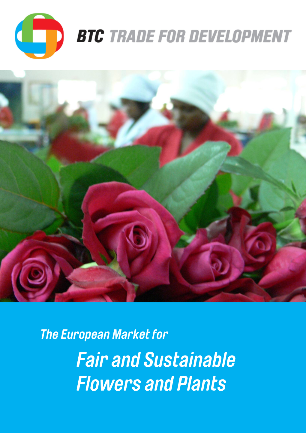The European Market for Fair and Sustainable Flowers and Plants by Milco Rikken, Proverde December 2010