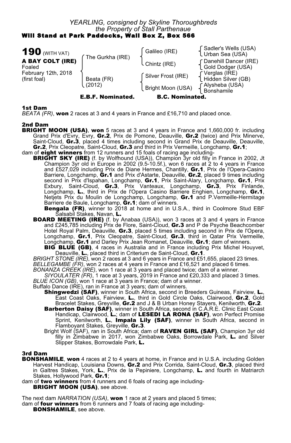YEARLING, Consigned by Skyline Thoroughbreds the Property of Stall Parthenaue Will Stand at Park Paddocks, Wall Box Z, Box 566
