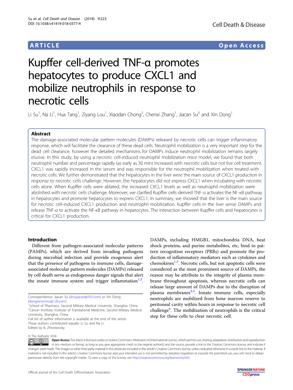 Kupffer Cell-Derived TNF-Î± Promotes Hepatocytes to Produce CXCL1 And
