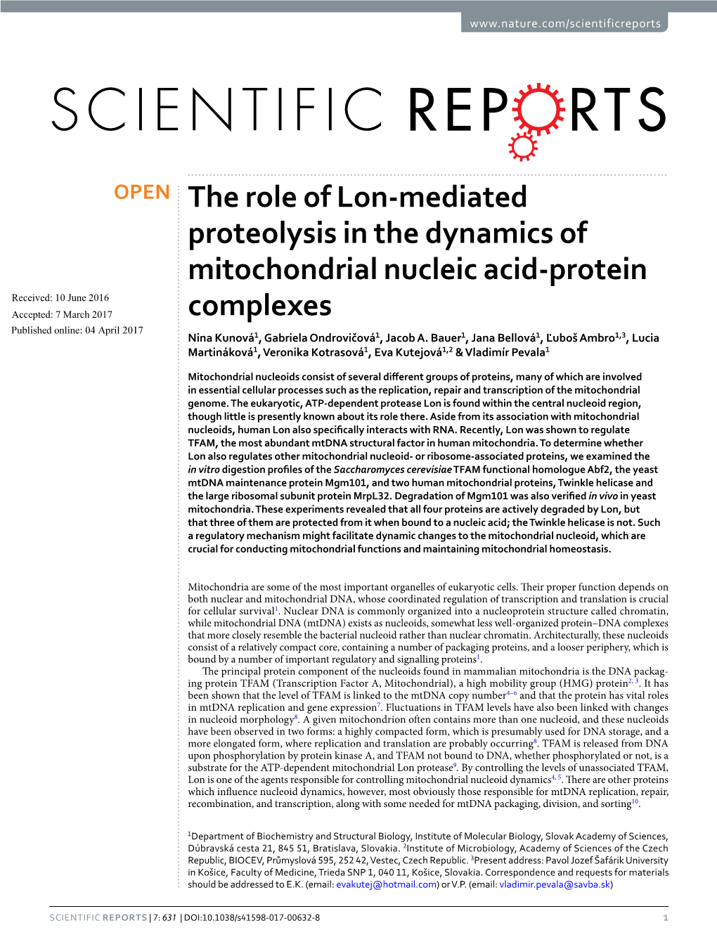 The Role of Lon-Mediated Proteolysis in the Dynamics of Mitochondrial