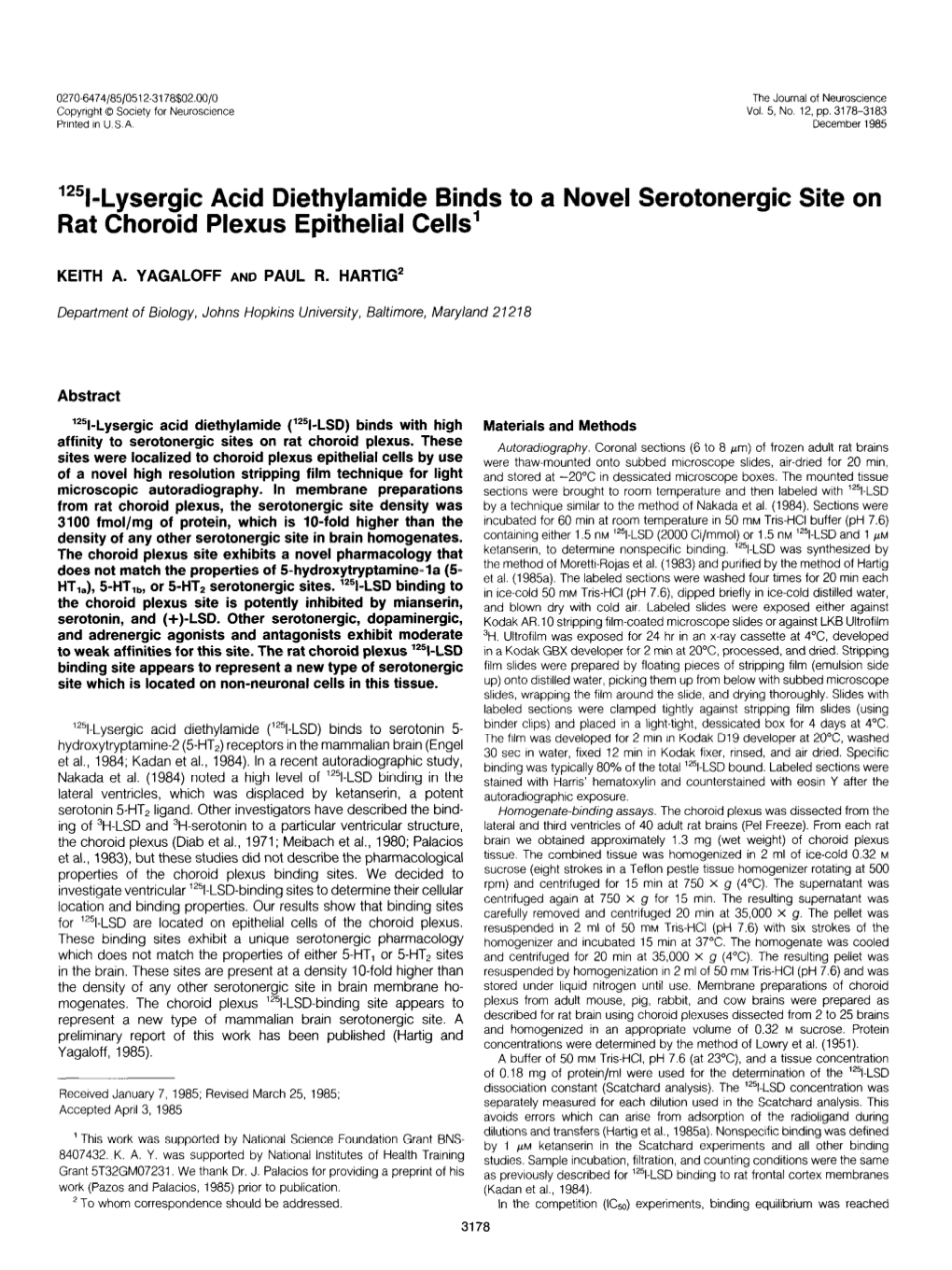 Lysergic Acid Biethylamide Binds to a Novel Serotonergic Site on Rat Choroid Plexus Epithelial Cells’