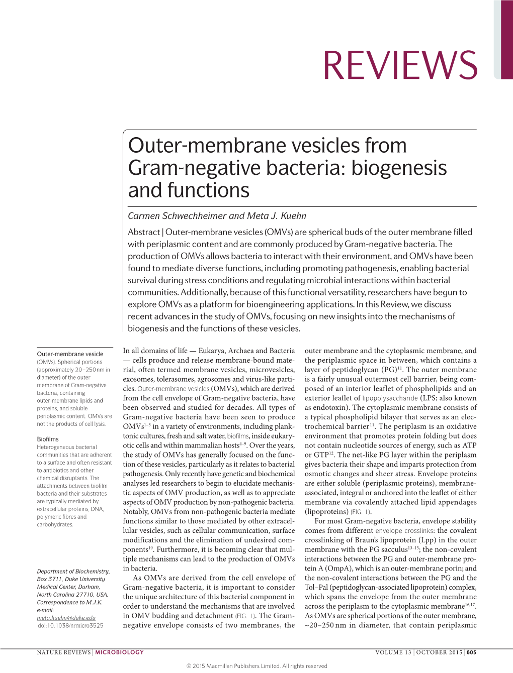 Outer-Membrane Vesicles from Gram-Negative Bacteria: Biogenesis and Functions