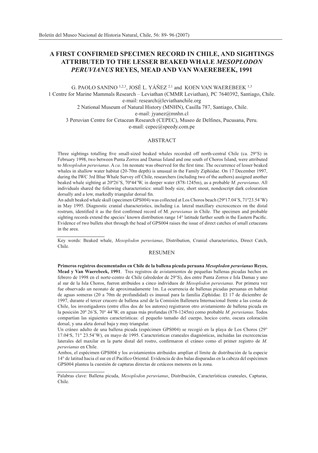 A First Confirmed Specimen Record in Chile, and Sightings Attributed to the Lesser Beaked Whale Mesoplodon Peruvianus Reyes, Mead and Van Waerebeek, 1991