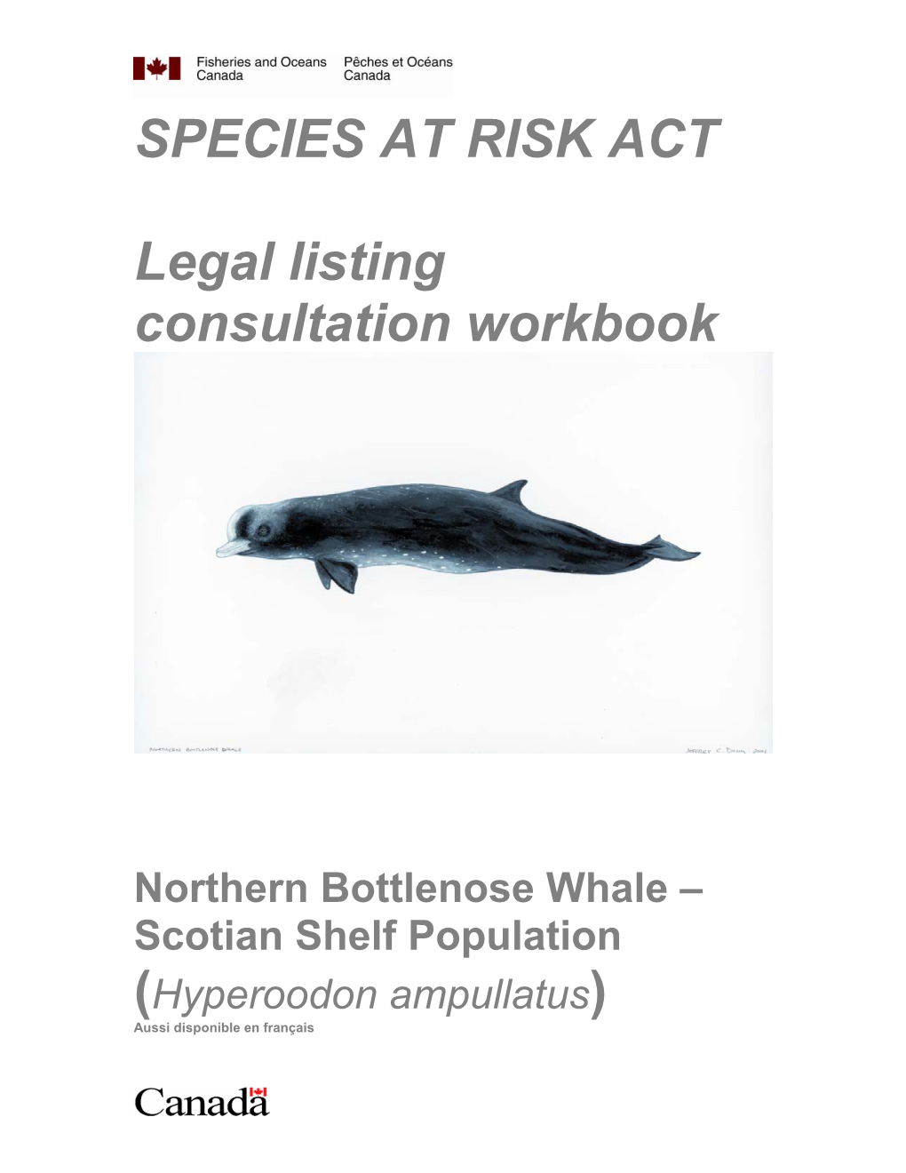 Northern Bottlenose Whale (Scotian Shelf Population)