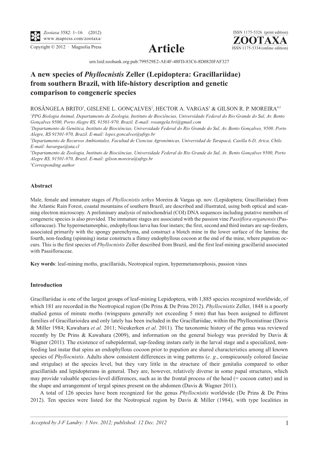 A New Species of Phyllocnistis Zeller (Lepidoptera: Gracillariidae) from Southern Brazil, with Life-History Description and Genetic Comparison to Congeneric Species