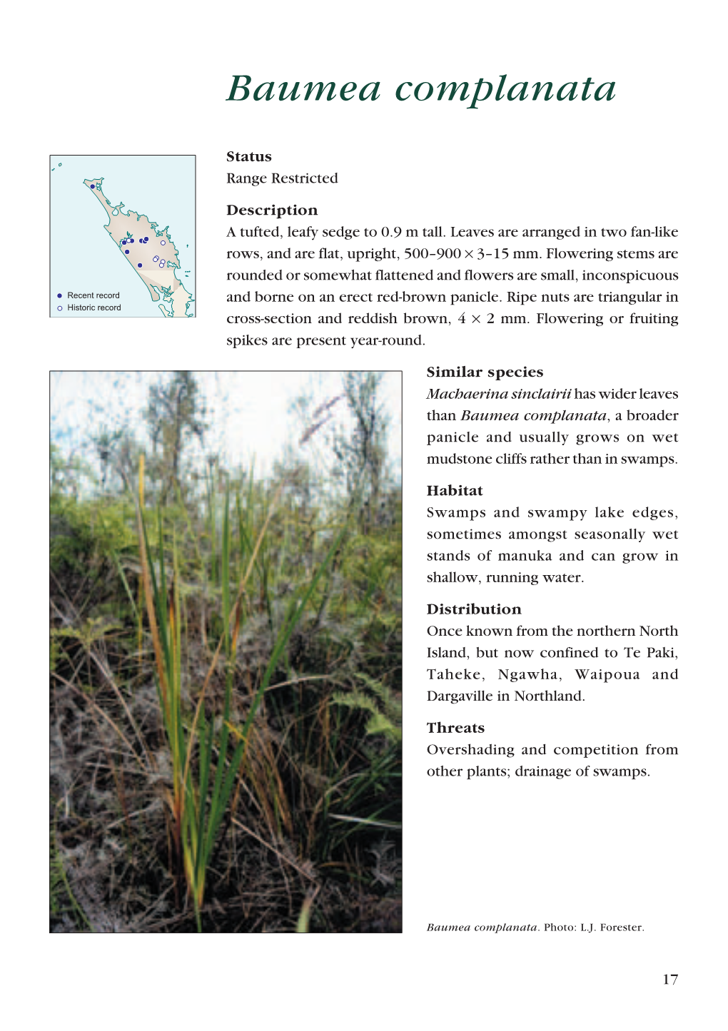 Threatened Plants of Northland