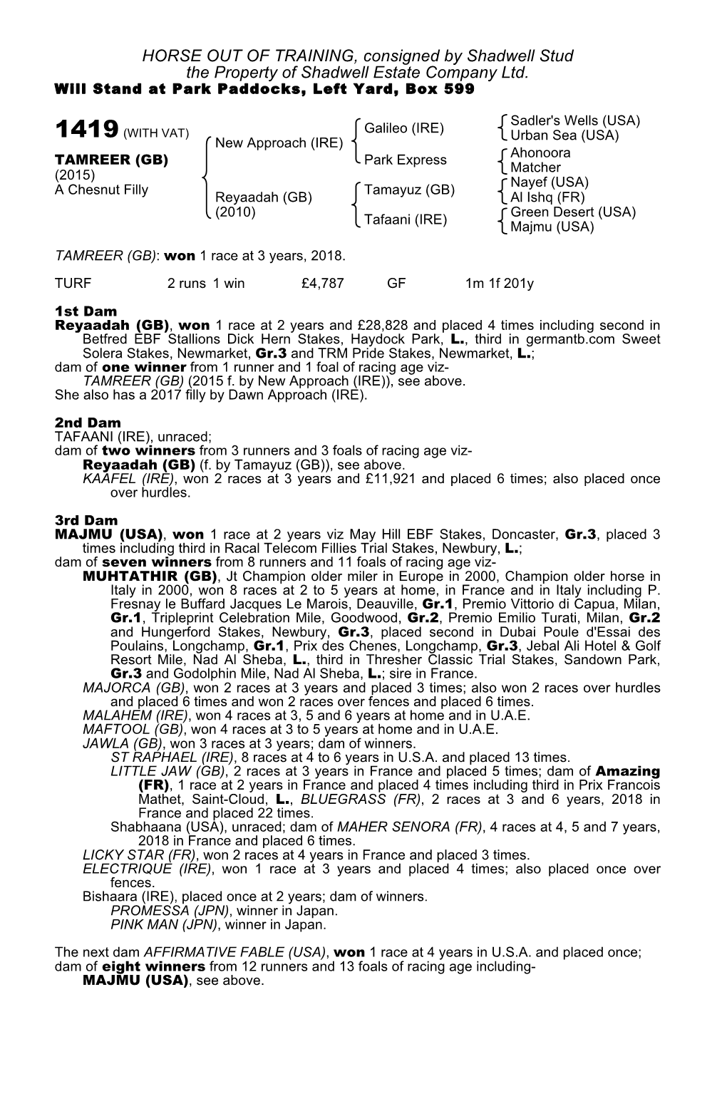 HORSE out of TRAINING, Consigned by Shadwell Stud the Property of Shadwell Estate Company Ltd