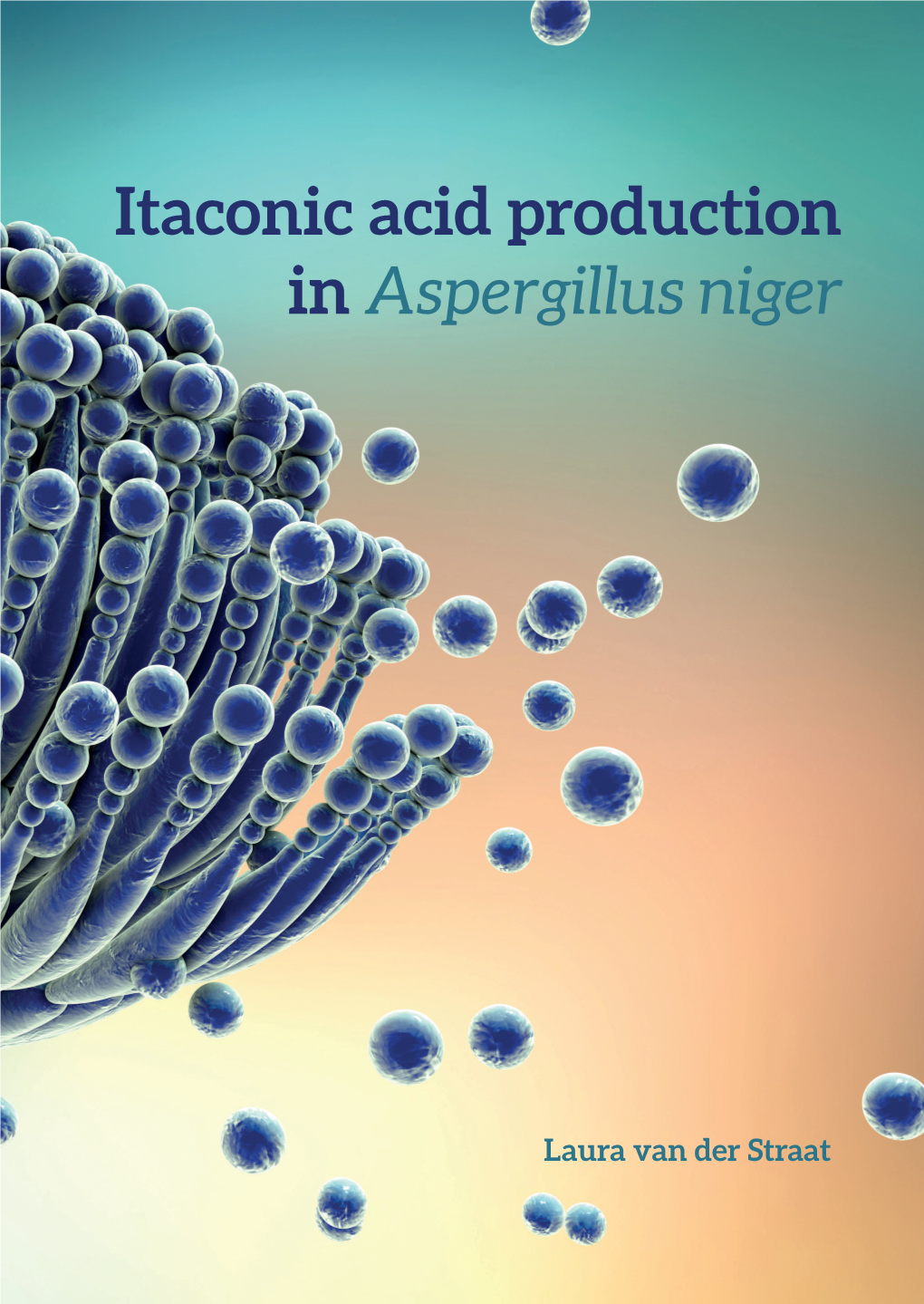 Itaconic Acid Production in Aspergillus Niger