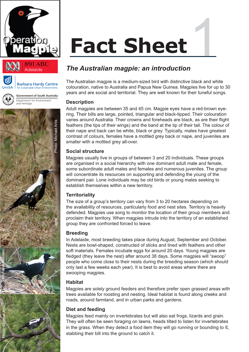 Fact Sheet1 the Australian Magpie