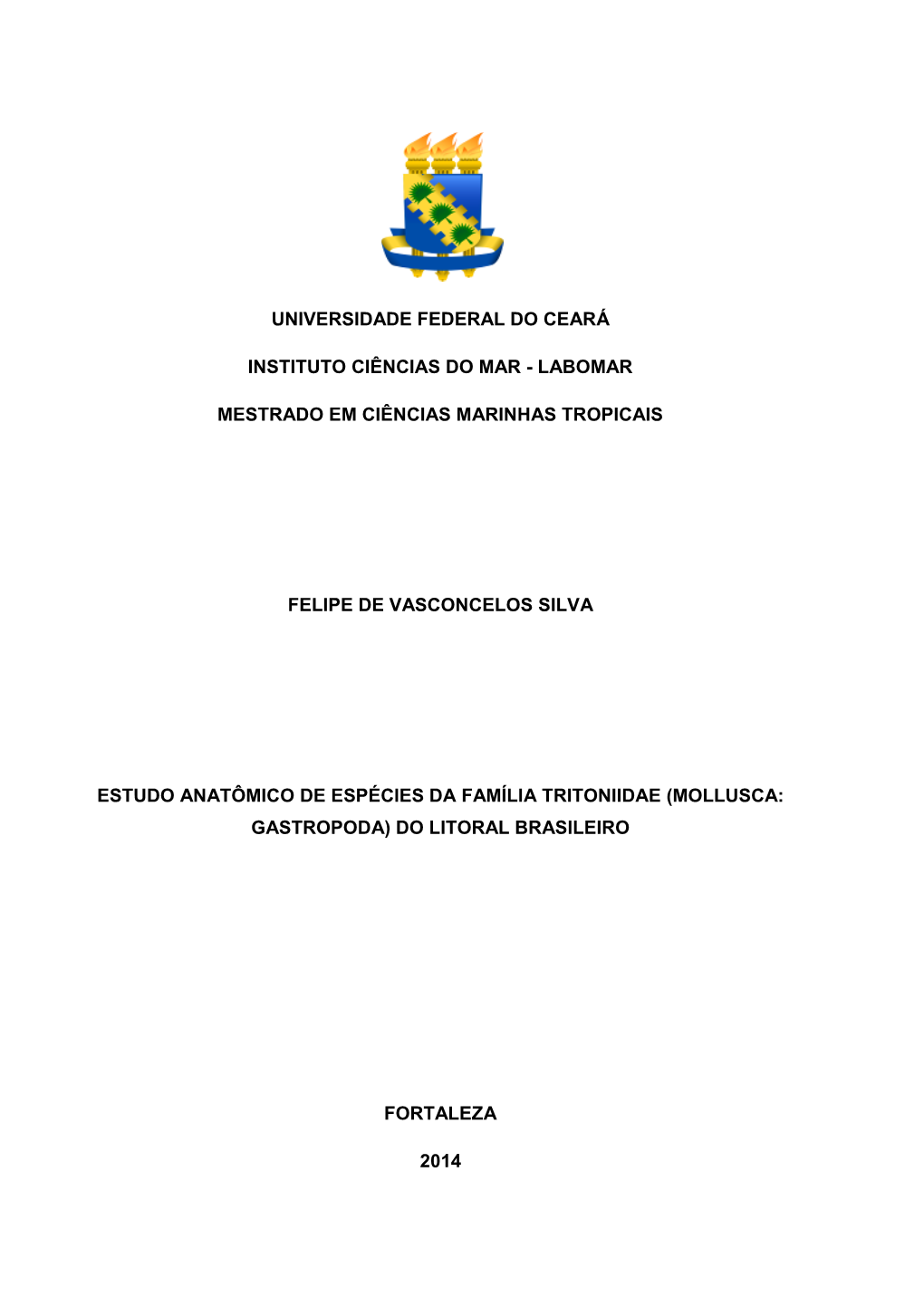 2014 Dis Fdevsilva.Pdf