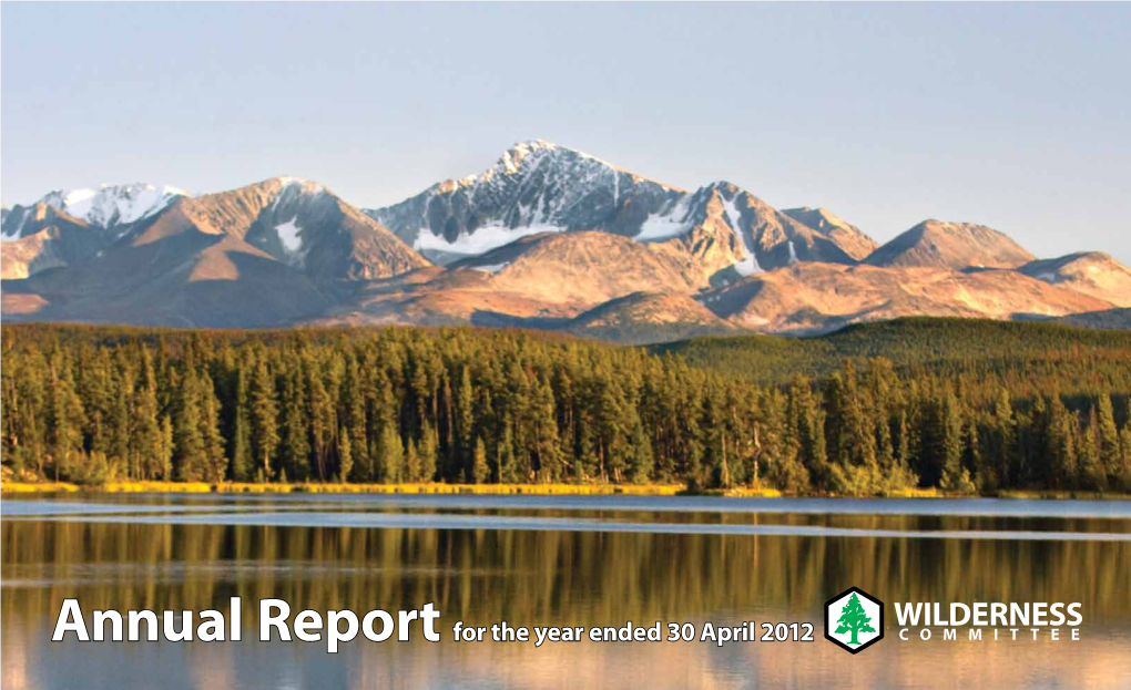 2012 Annual Report