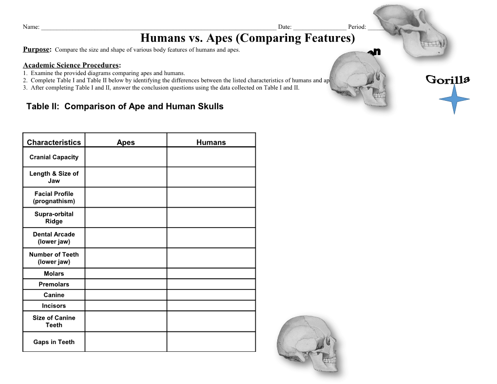 Lab: Humans and Apes: a Comparison of Features