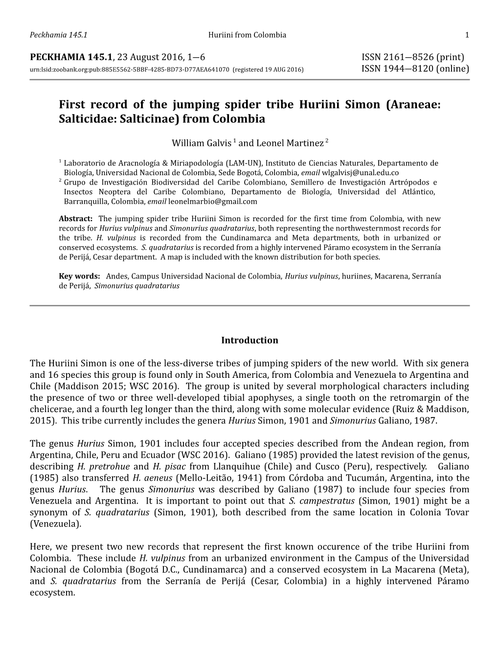 First Record of the Jumping Spider Tribe Huriini Simon (Araneae: Salticidae: Salticinae) from Colombia