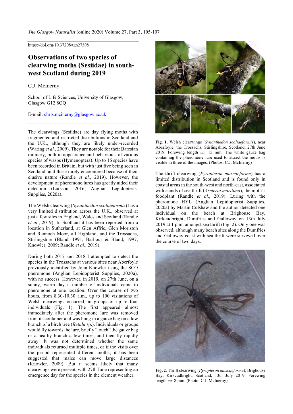 Observations of Two Species of Clearwing Moths (Sesiidae) in South- West Scotland During 2019