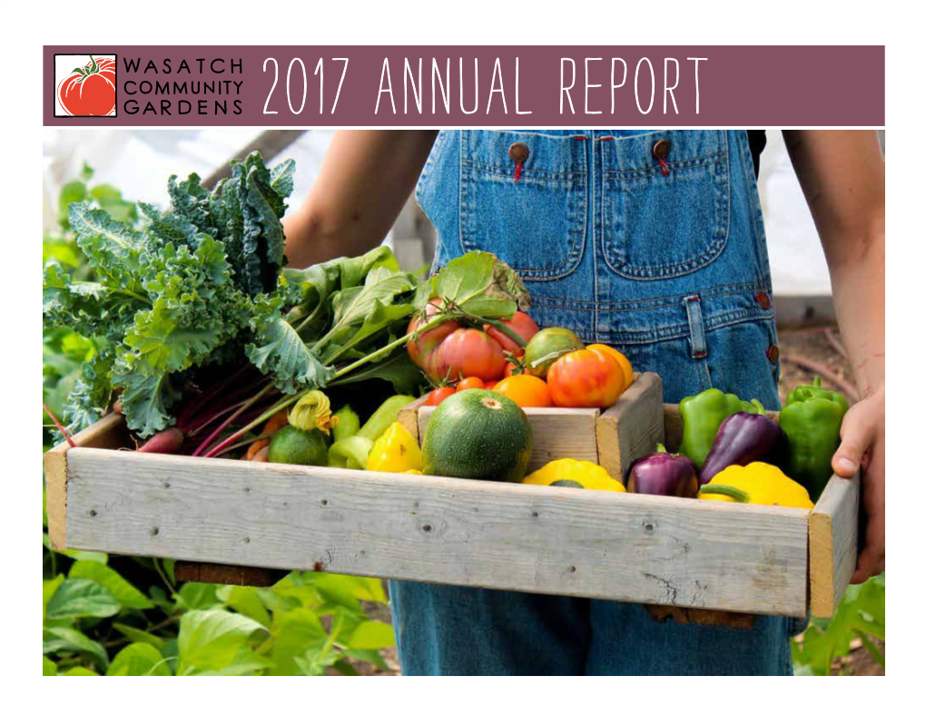 Wcg Annual Report 2017 Web