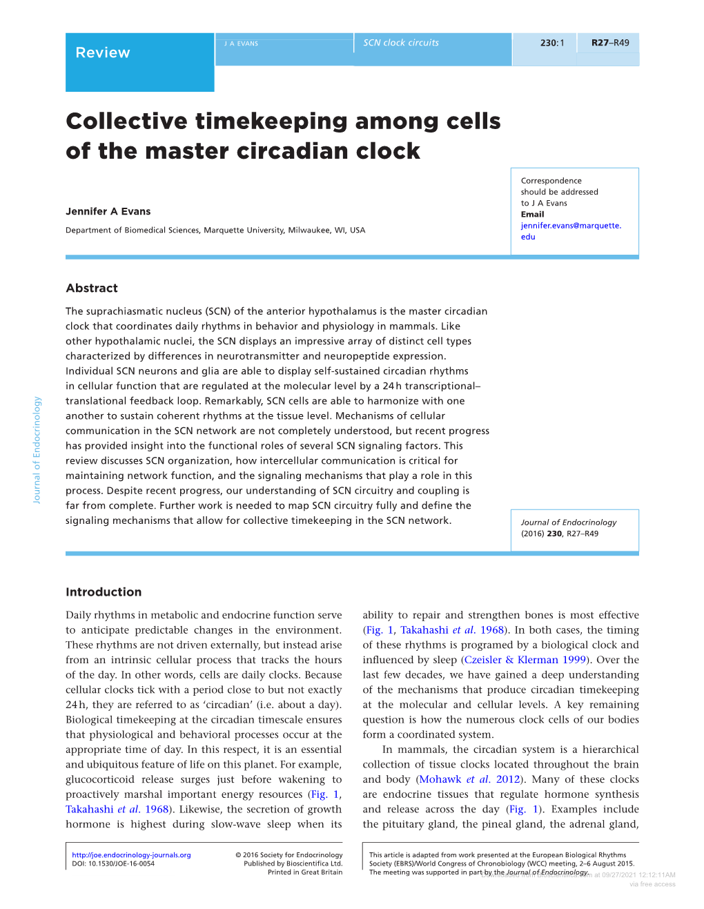 Collective Timekeeping Among Cells of the Master Circadian Clock