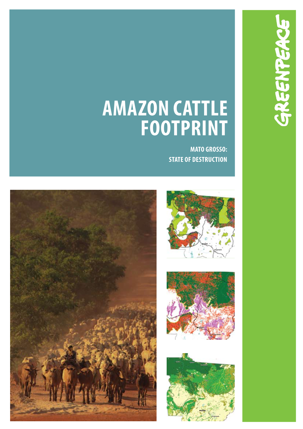 Amazon Cattle Footprint: Mato Grosso