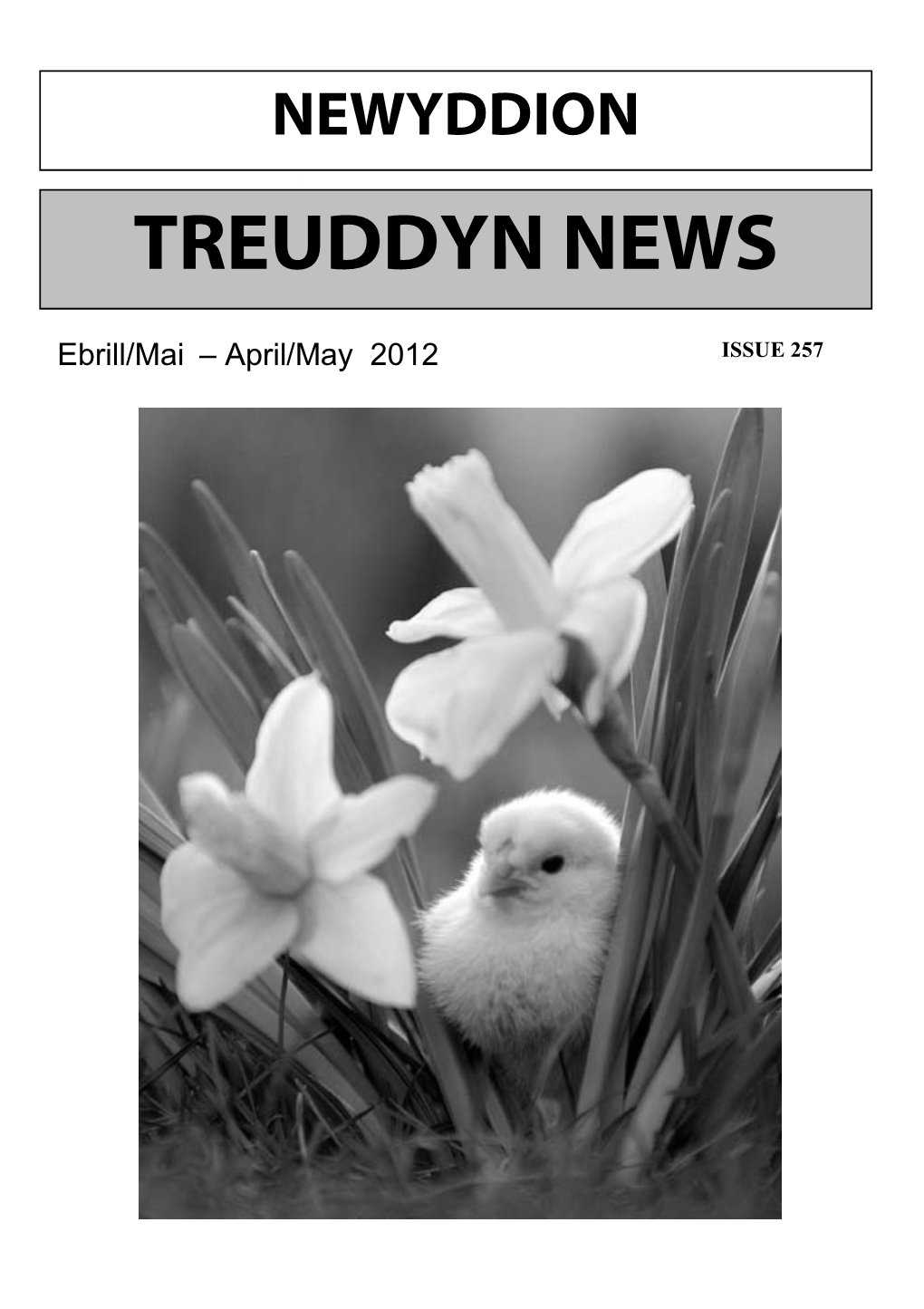 Treuddyn News