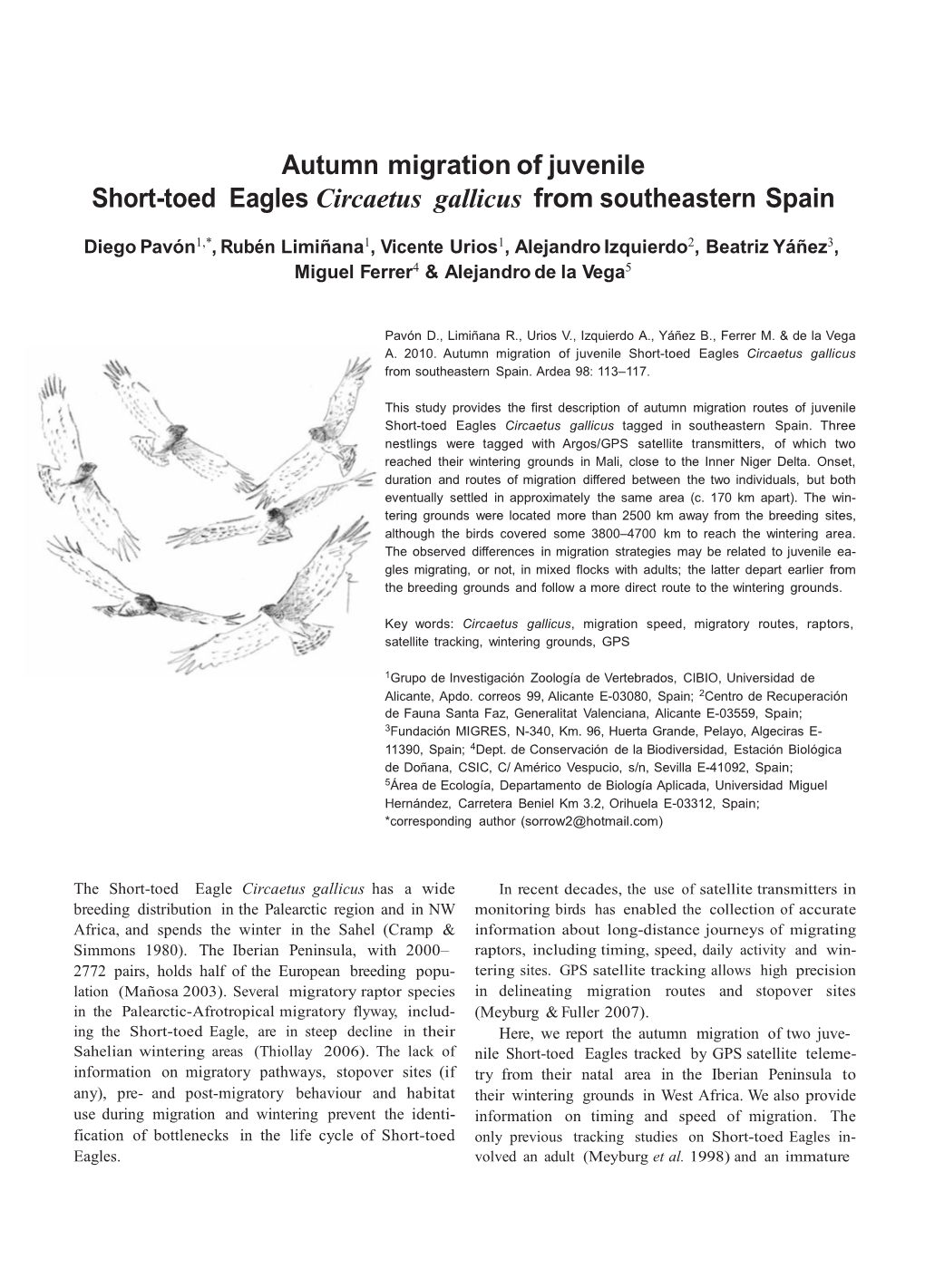 Autumn Migration of Juvenile Short-Toed Eagles Circaetus Gallicus from Southeastern Spain