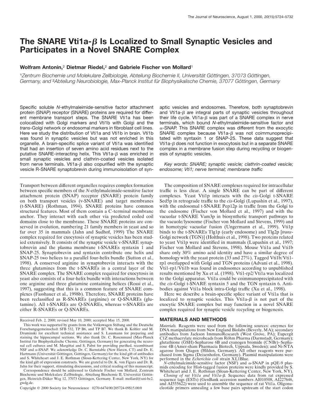 The SNARE Vti1a-Β Is Localized to Small Synaptic Vesicles And