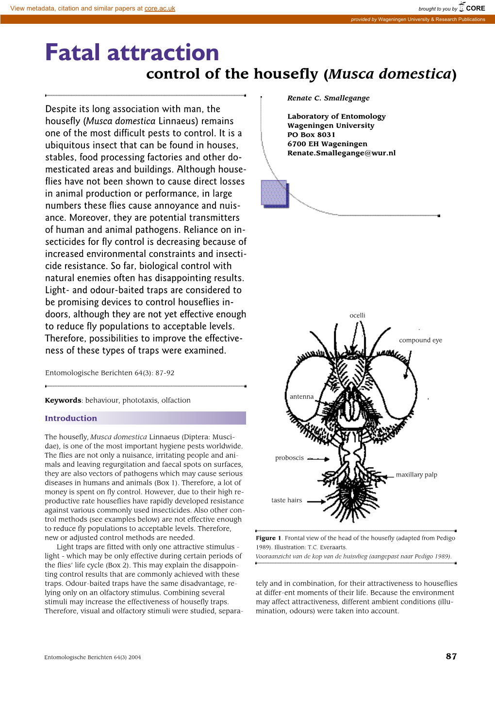 Fatal Attraction Control of the Housefly (Musca Domestica)