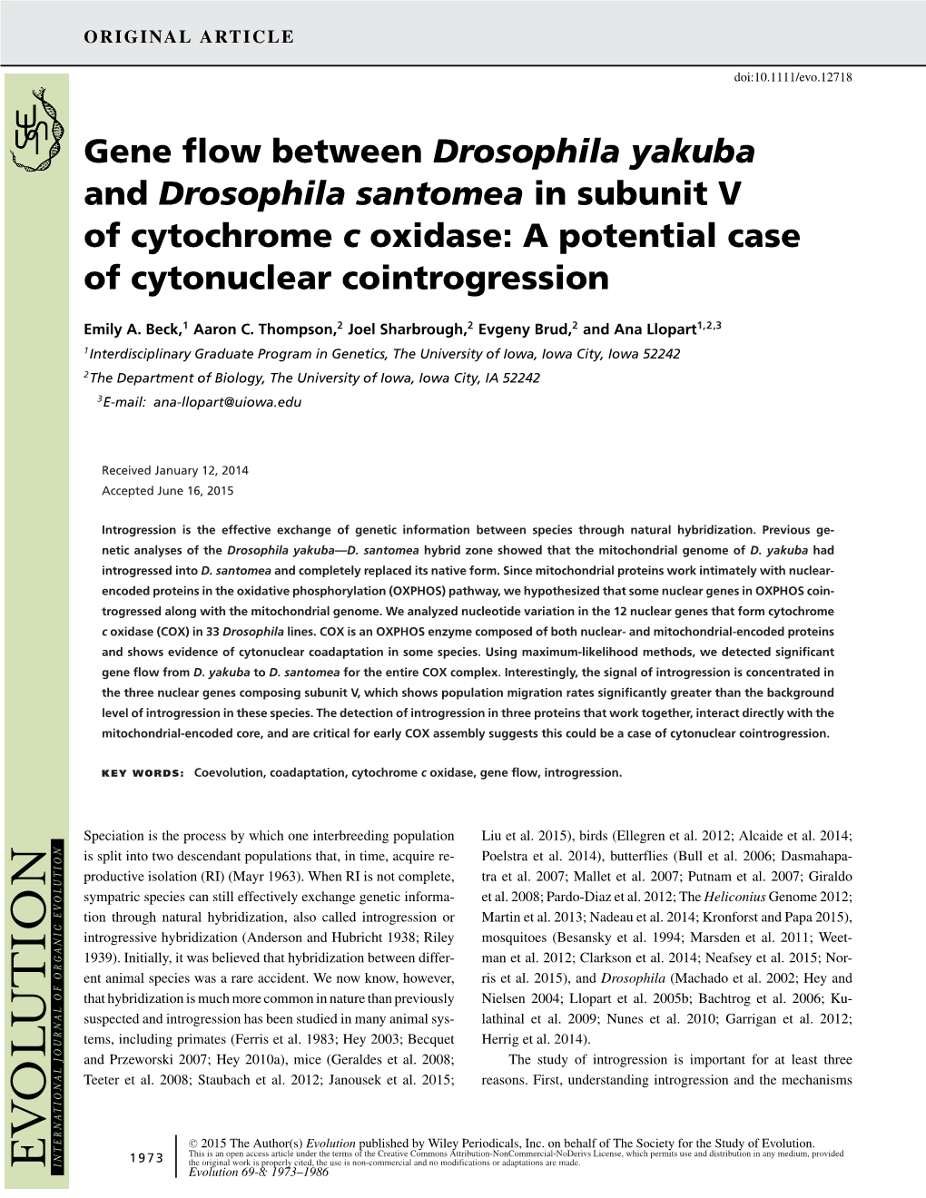 Gene Flow Between <I>Drosophila Yakuba</I>