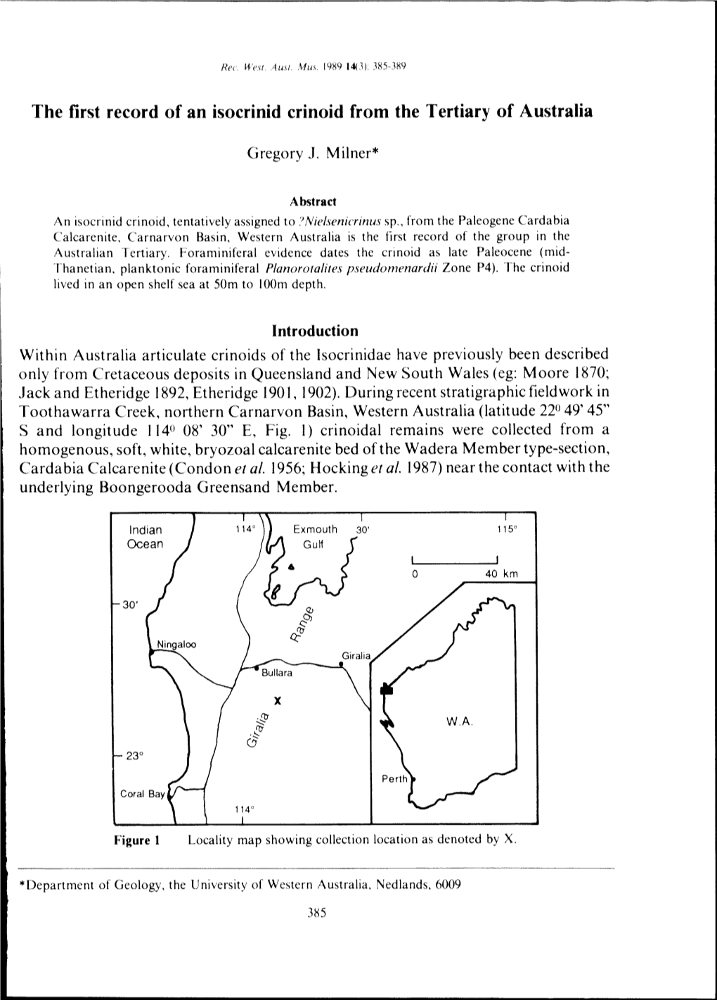 The First Record of an Isocrinid Crinoid from the Tertiary of Australia