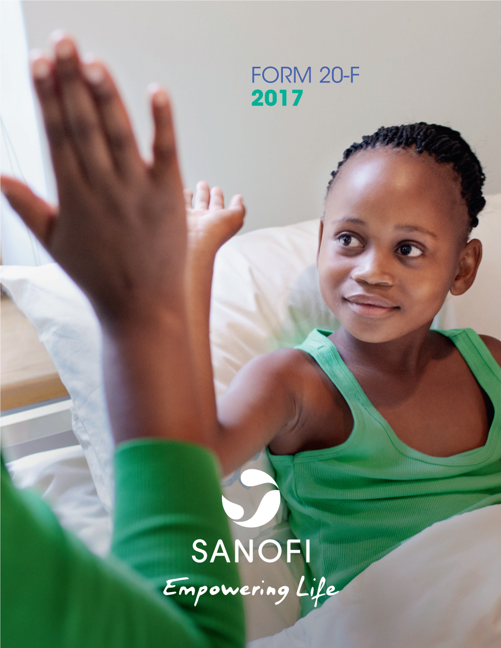 2017 Annual Report on Form
