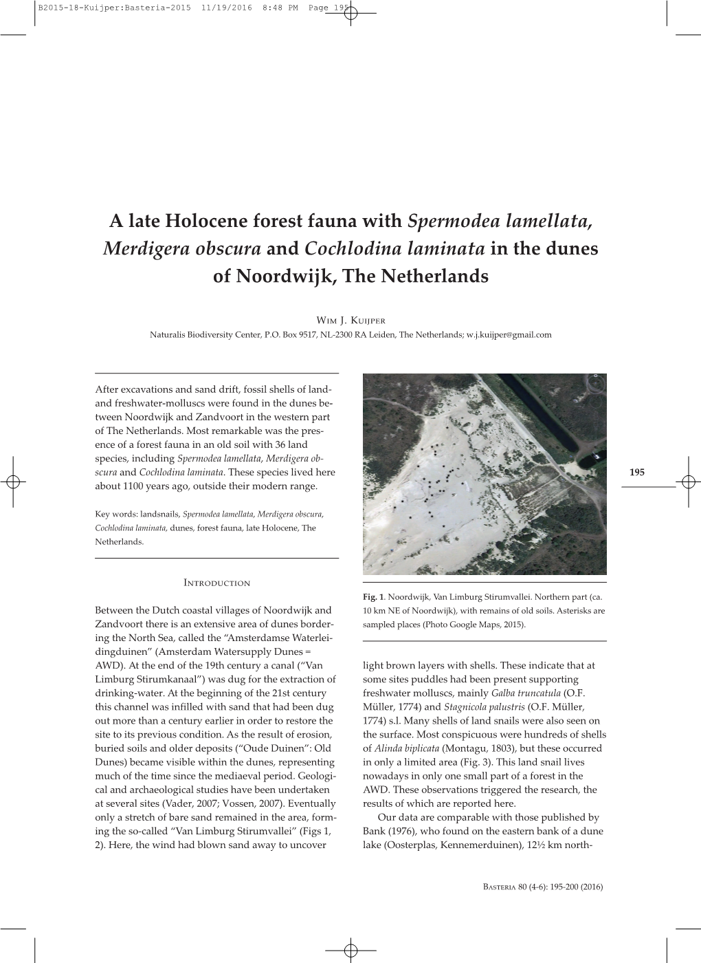 A Late Holocene Forest Fauna with Spermodea Lamellata, Merdigera Obscura and Cochlodina Laminata in the Dunes of Noordwijk, the Netherlands