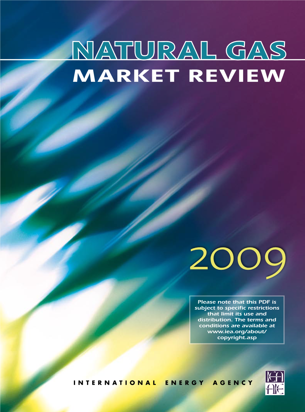 Natural Gas Market Review 2009